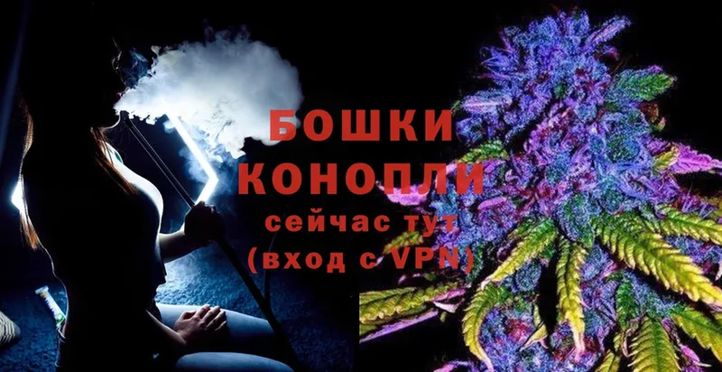 продажа наркотиков  Кингисепп  Шишки марихуана THC 21% 